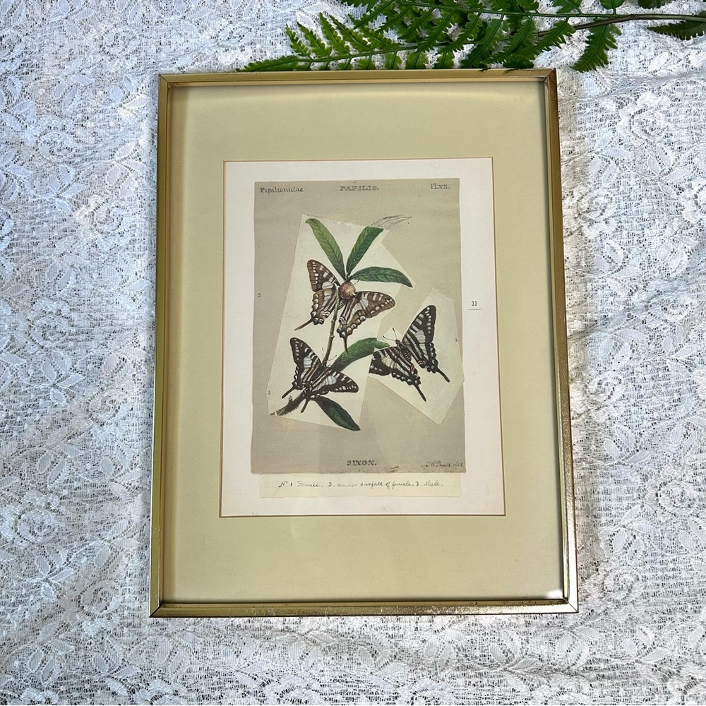 Vintage Gold Tone Framed Butterfly Art 12x16